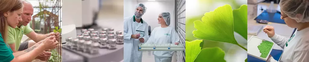 Sfeerbeelden_Schwabe